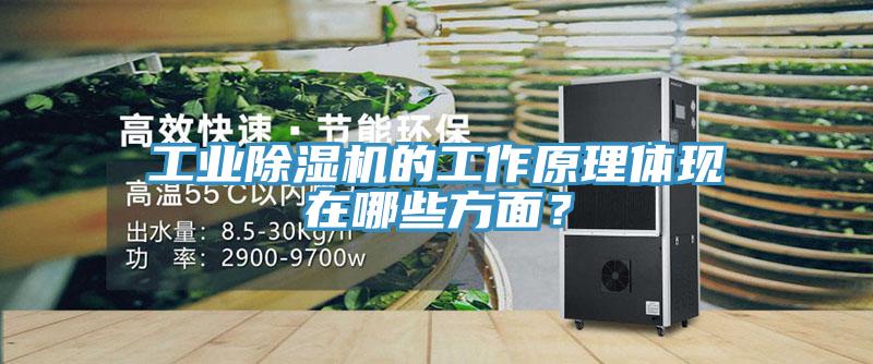 工業(yè)除濕機(jī)的工作原理體現(xiàn)在哪些方面？