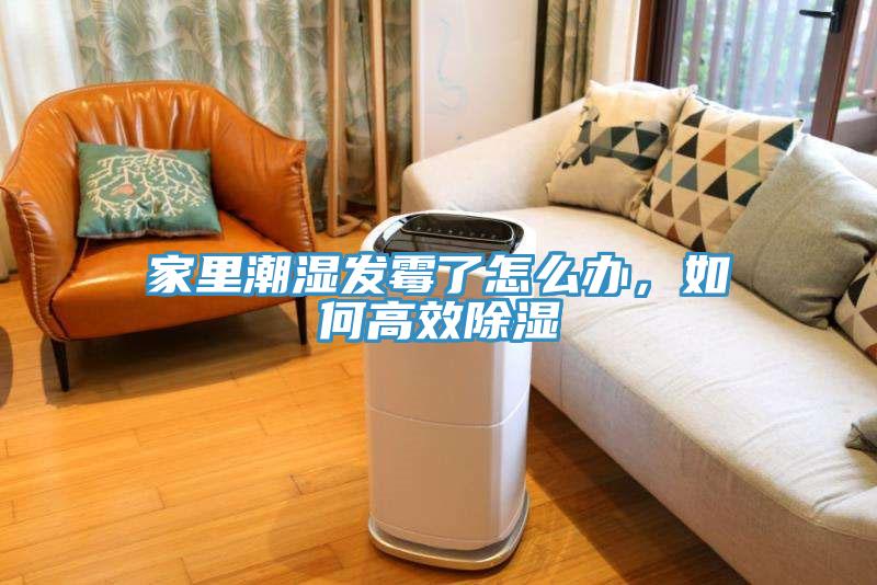 家里潮濕發(fā)霉了怎么辦，如何高效除濕