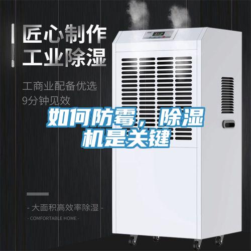 如何防霉，除濕機(jī)是關(guān)鍵