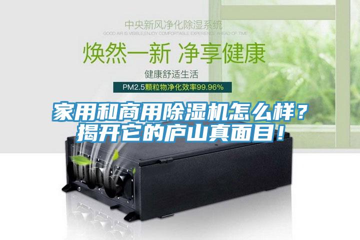 家用和商用除濕機怎么樣？揭開它的廬山真面目！