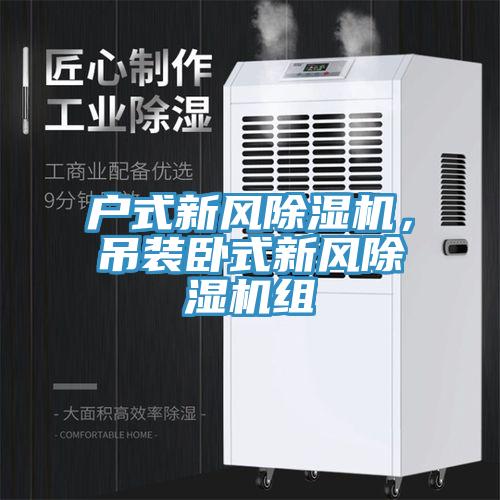 戶式新風(fēng)除濕機(jī)，吊裝臥式新風(fēng)除濕機(jī)組