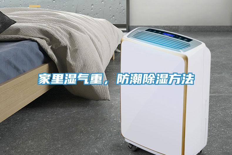 家里濕氣重，防潮除濕方法