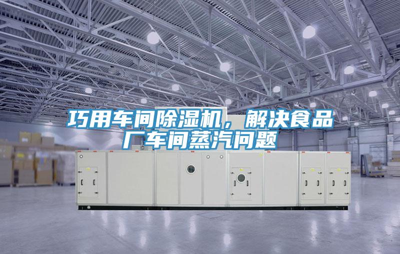 巧用車間除濕機，解決食品廠車間蒸汽問題