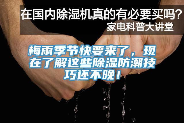 梅雨季節(jié)快要來了，現(xiàn)在了解這些除濕防潮技巧還不晚！