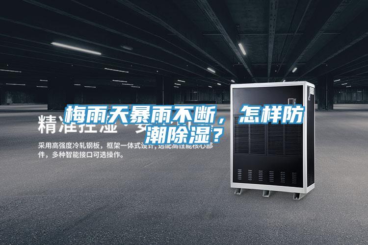 梅雨天暴雨不斷，怎樣防潮除濕？
