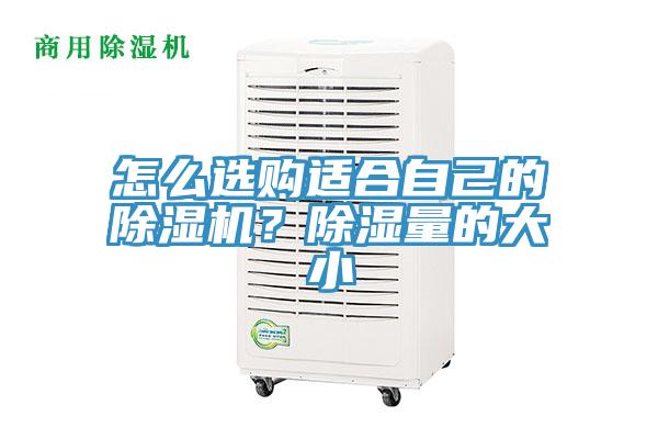 怎么選購適合自己的除濕機？除濕量的大小