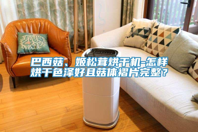 巴西菇、姬松茸烘干機-怎樣烘干色澤好且菇體褶片完整？