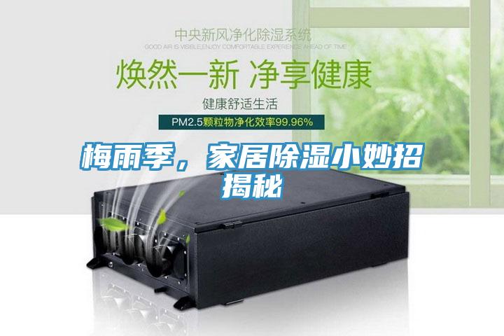 梅雨季，家居除濕小妙招揭秘