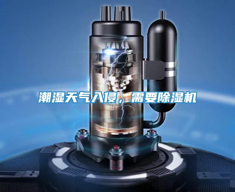 潮濕天氣入侵，需要除濕機
