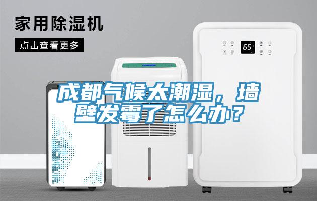成都?xì)夂蛱睗瘢瑝Ρ诎l(fā)霉了怎么辦？