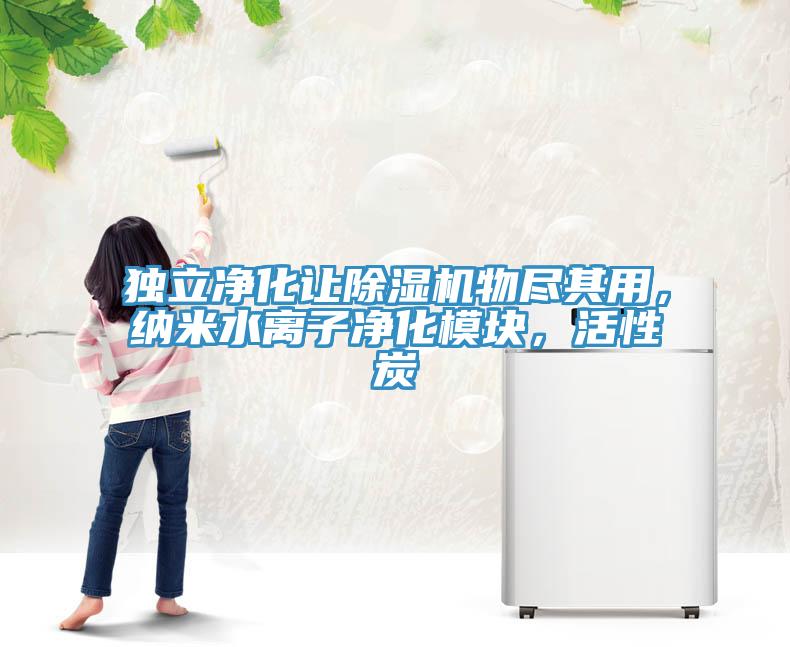 獨(dú)立凈化讓除濕機(jī)物盡其用，納米水離子凈化模塊，活性炭