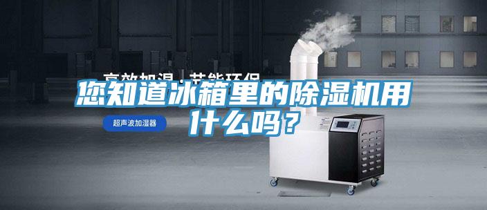 您知道冰箱里的除濕機用什么嗎？