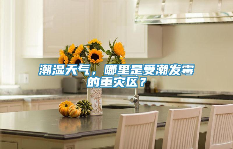 潮濕天氣，哪里是受潮發(fā)霉的重災區(qū)？