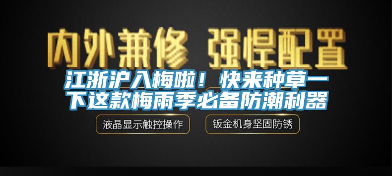 江浙滬入梅啦！快來種草一下這款梅雨季必備防潮利器