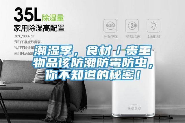 潮濕季，食材／貴重物品該防潮防霉防蟲，你不知道的秘密！
