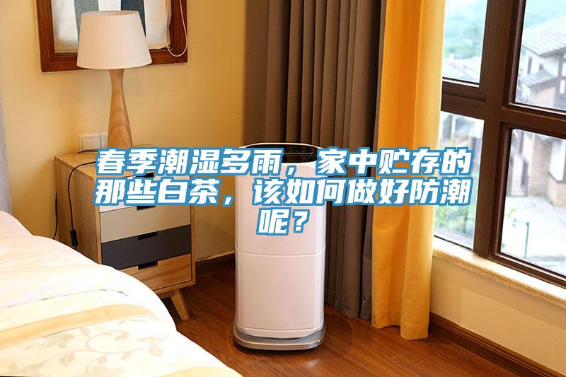春季潮濕多雨，家中貯存的那些白茶，該如何做好防潮呢？