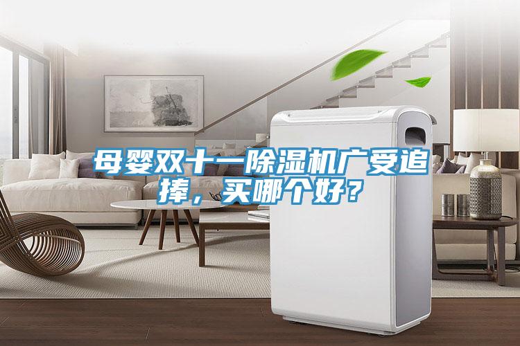 母嬰雙十一除濕機(jī)廣受追捧，買哪個(gè)好？