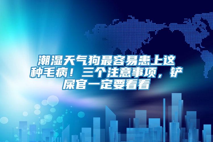 潮濕天氣狗最容易患上這種毛?。∪齻€注意事項，鏟屎官一定要看看