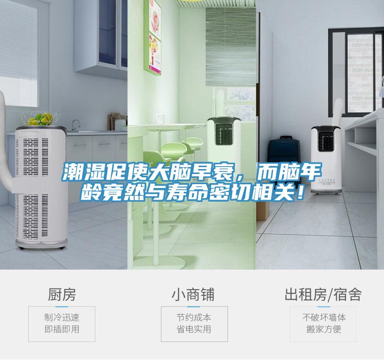 潮濕促使大腦早衰，而腦年齡竟然與壽命密切相關(guān)！