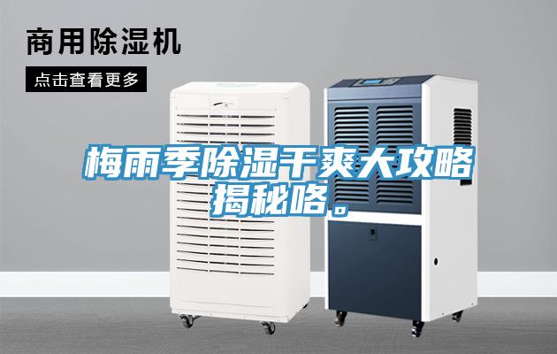 梅雨季除濕干爽大攻略揭秘咯。