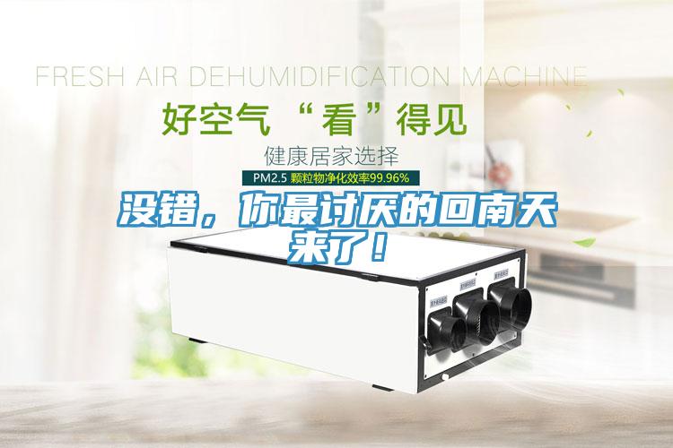 沒錯，你最討厭的回南天來了！
