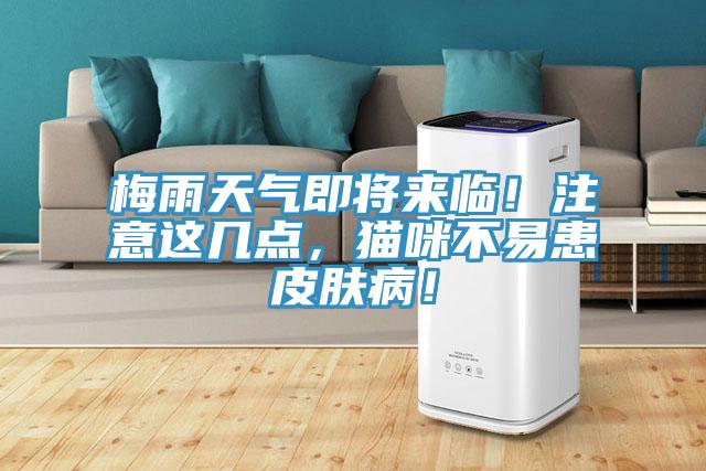 梅雨天氣即將來臨！注意這幾點，貓咪不易患皮膚?。?/></p>
                            <p style=