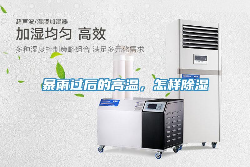 暴雨過后的高溫，怎樣除濕