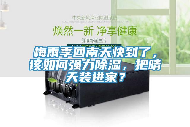 梅雨季回南天快到了，該如何強力除濕，把晴天裝進家？
