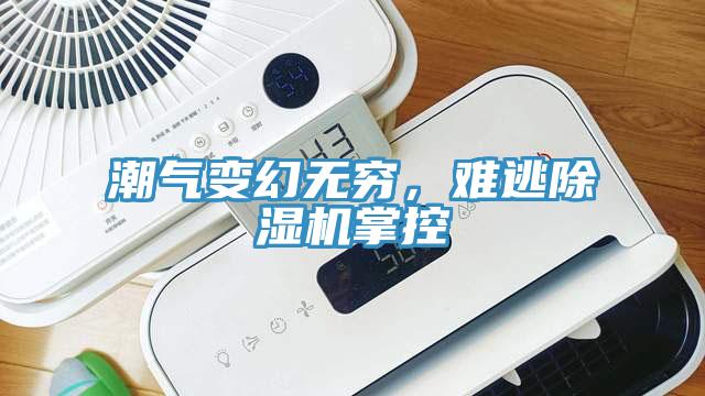 潮氣變幻無窮，難逃除濕機(jī)掌控