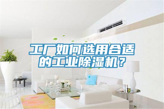 工廠如何選用合適的工業(yè)除濕機(jī)？