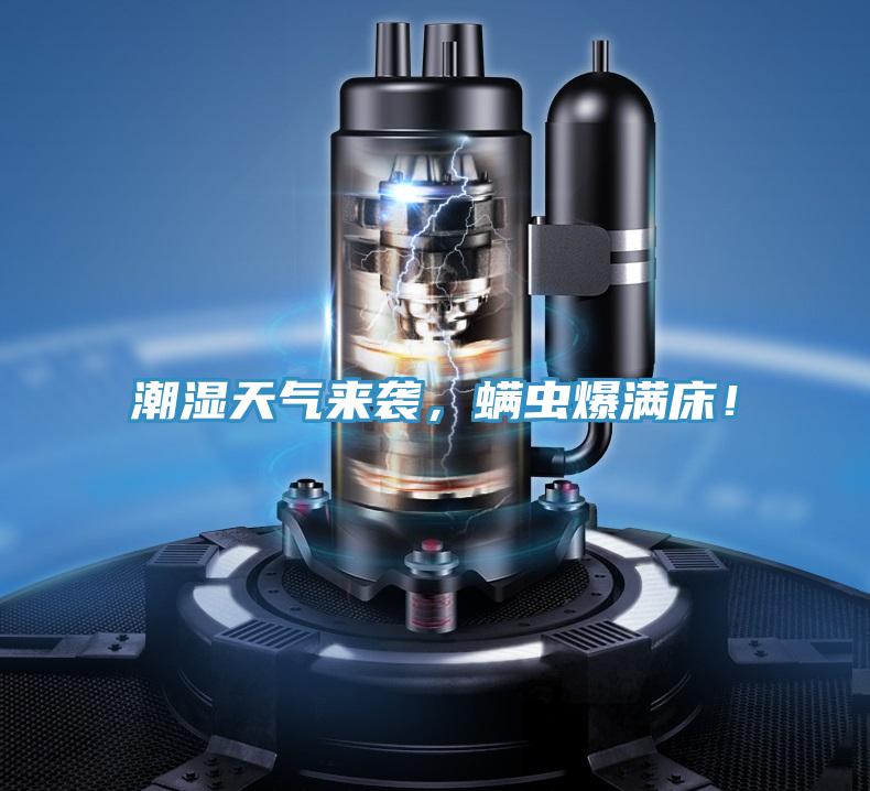 潮濕天氣來(lái)襲，螨蟲爆滿床！