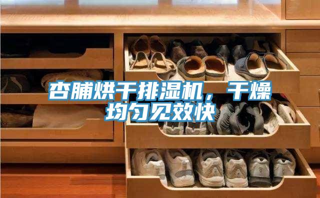 杏脯烘干排濕機，干燥均勻見效快
