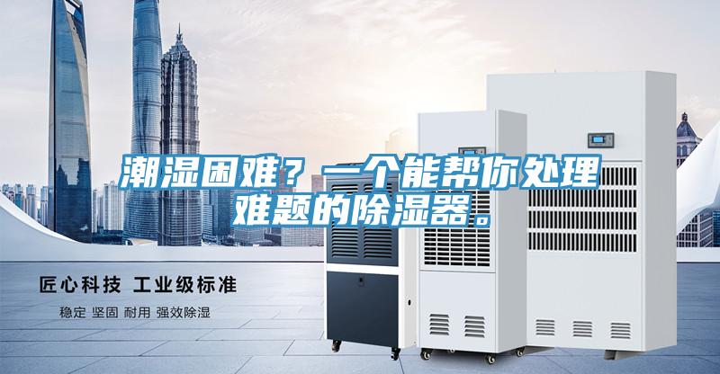 潮濕困難？一個(gè)能幫你處理難題的除濕器。
