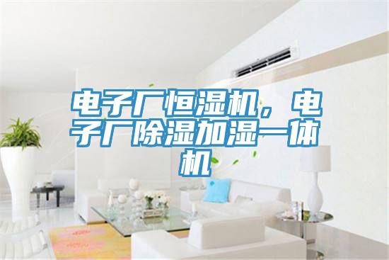 電子廠恒濕機(jī)，電子廠除濕加濕一體機(jī)