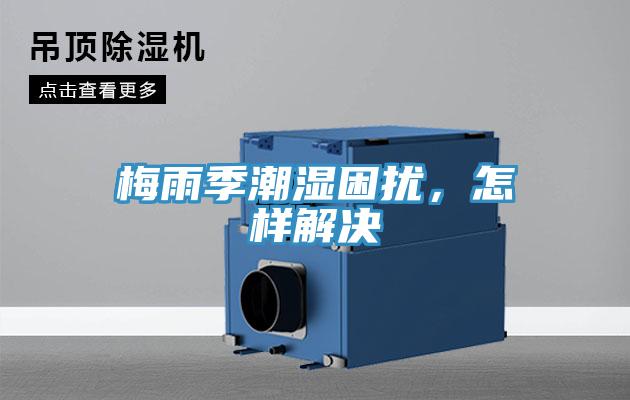 梅雨季潮濕困擾，怎樣解決
