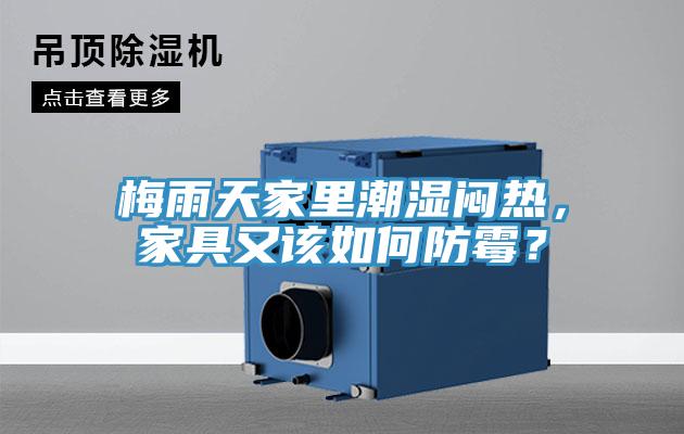 梅雨天家里潮濕悶熱，家具又該如何防霉？