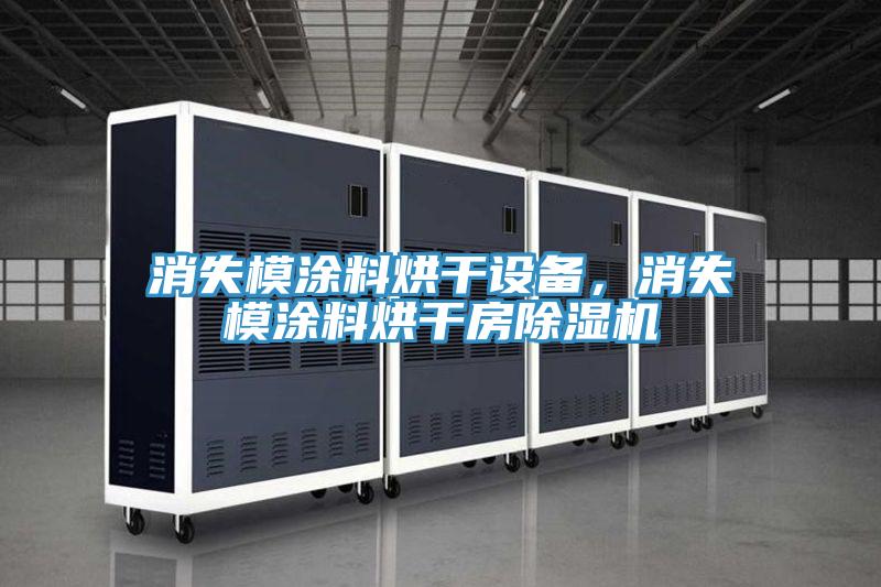 消失模涂料烘干設(shè)備，消失模涂料烘干房除濕機(jī)