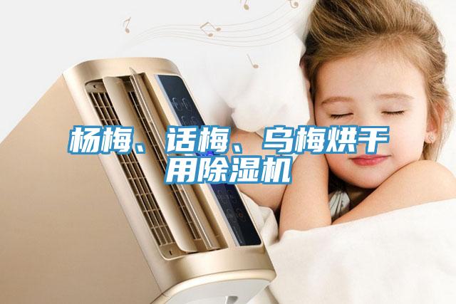 楊梅、話梅、烏梅烘干用除濕機