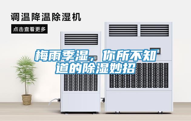 梅雨季濕，你所不知道的除濕妙招