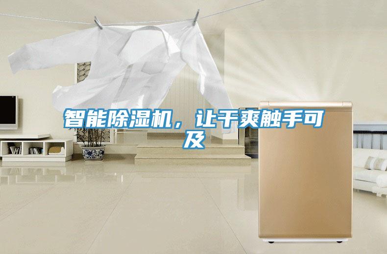 智能除濕機，讓干爽觸手可及