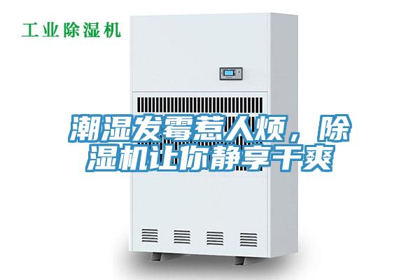 潮濕發(fā)霉惹人煩，除濕機讓你靜享干爽
