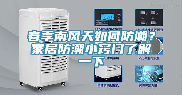 春季南風(fēng)天如何防潮？家居防潮小竅門了解一下