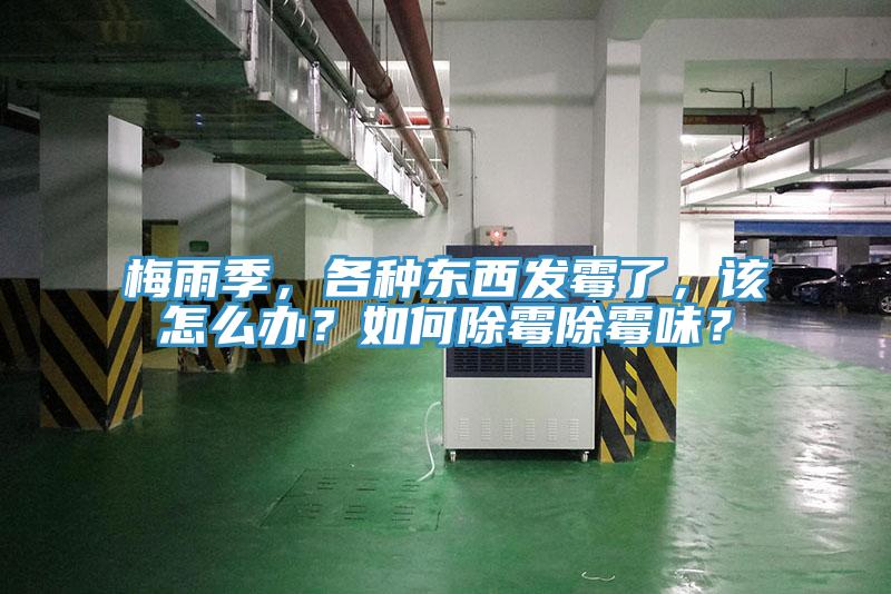 梅雨季，各種東西發(fā)霉了，該怎么辦？如何除霉除霉味？