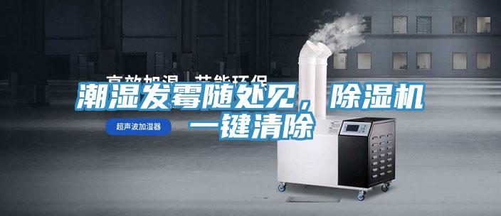 潮濕發(fā)霉隨處見，除濕機一鍵清除