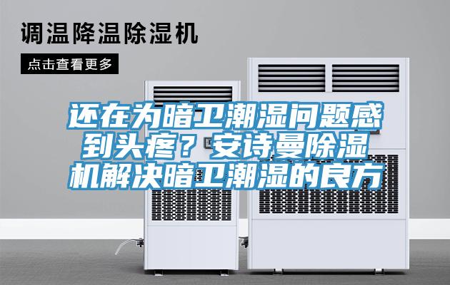 還在為暗衛(wèi)潮濕問(wèn)題感到頭疼？安詩(shī)曼除濕機(jī)解決暗衛(wèi)潮濕的良方