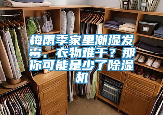 梅雨季家里潮濕發(fā)霉、衣物難干？那你可能是少了除濕機(jī)