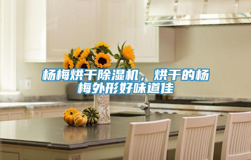 楊梅烘干除濕機，烘干的楊梅外形好味道佳