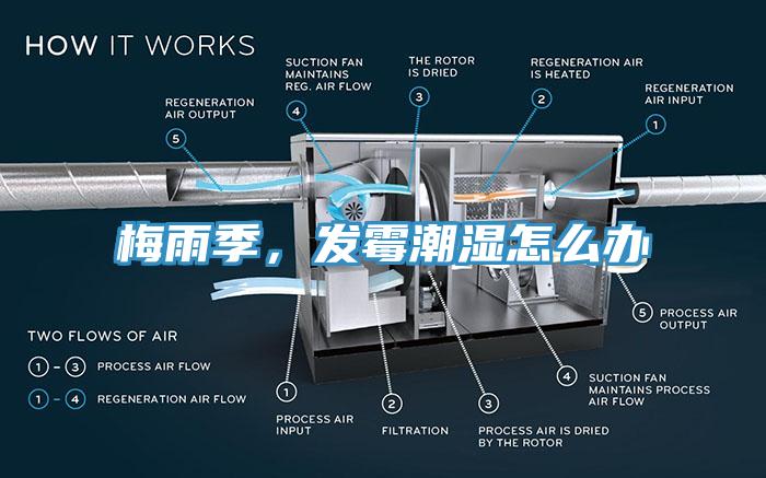 梅雨季，發(fā)霉潮濕怎么辦