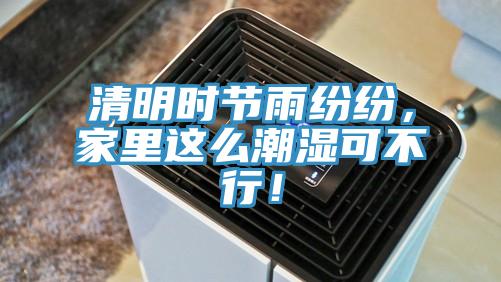 清明時(shí)節(jié)雨紛紛，家里這么潮濕可不行！