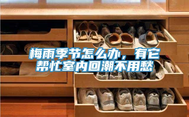 梅雨季節(jié)怎么辦，有它幫忙室內(nèi)回潮不用愁